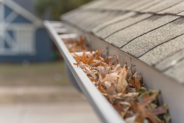 Leaf Barrier Installation in Knoxville